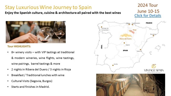 the wine journey through Spain