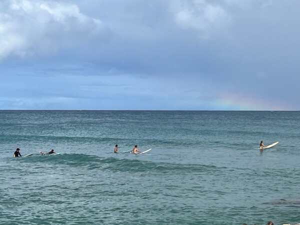 surf long board north shore oahu hawaii 