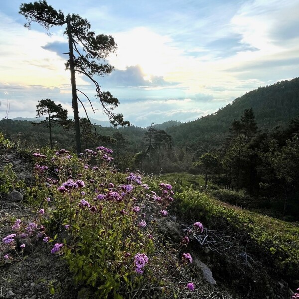 the beautiful sierra norte mountains of Oaxaca, Mexico