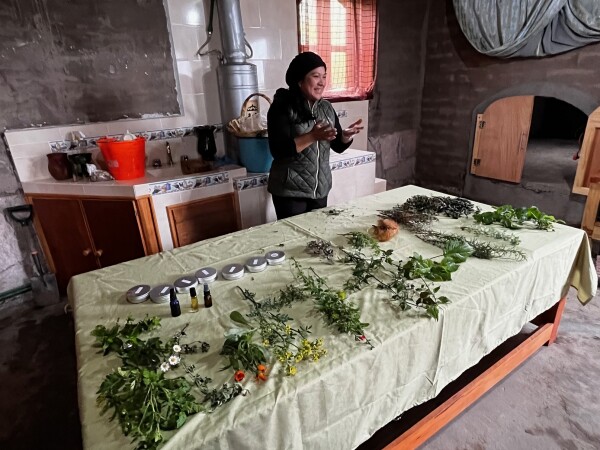 learning aobut the medicinal plants and herbs in the Sierra Norte, Oaxaca, Mexico